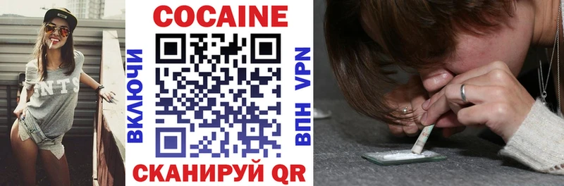 дарк нет телеграм Волгореченск Кокаин FishScale