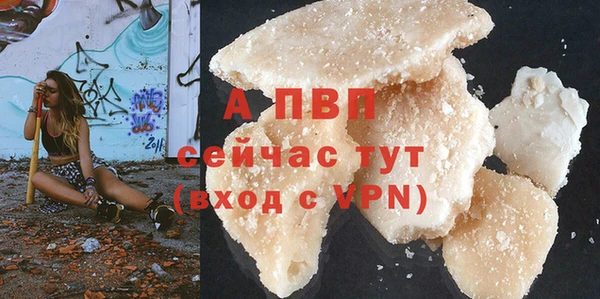PSILOCYBIN Балабаново