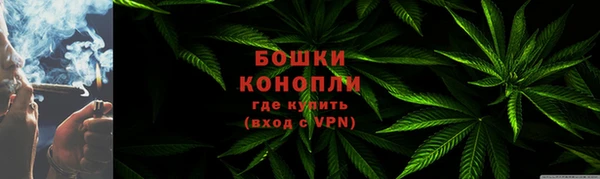 PSILOCYBIN Балабаново