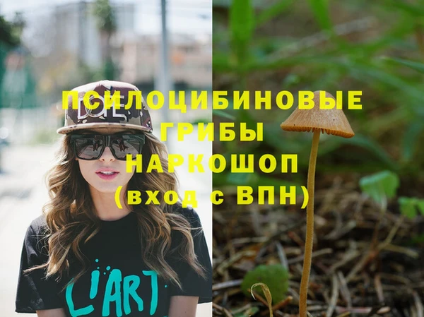 PSILOCYBIN Балабаново