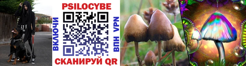 наркота  Волгореченск  мориарти клад  Псилоцибиновые грибы Psilocybine cubensis 